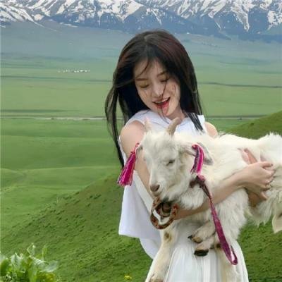 四片羽毛